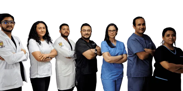 Equipo de especialistas del Instituto