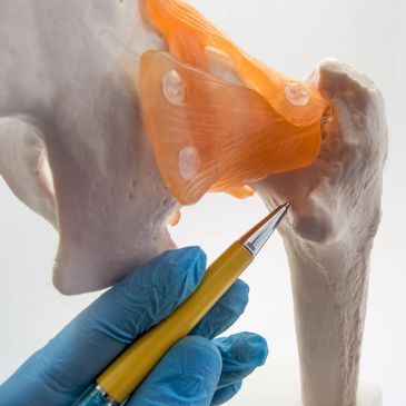 Estudios Biomecánicos